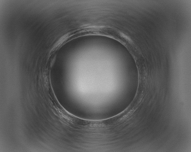 X0000054361354200508011209