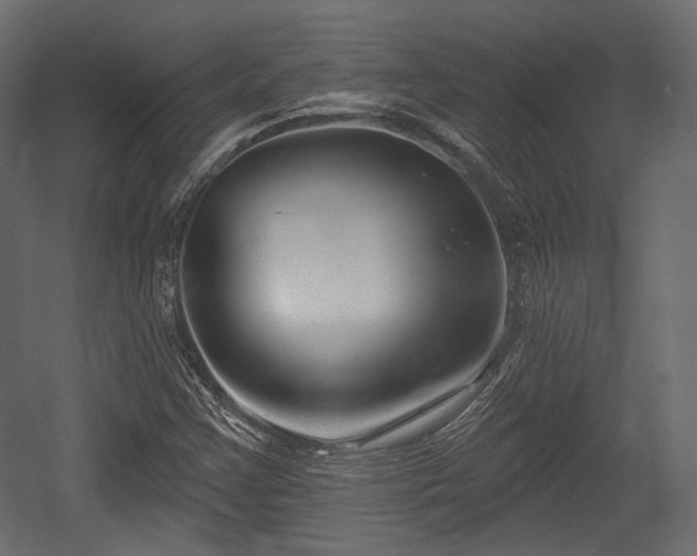 X0000054361355200508011209