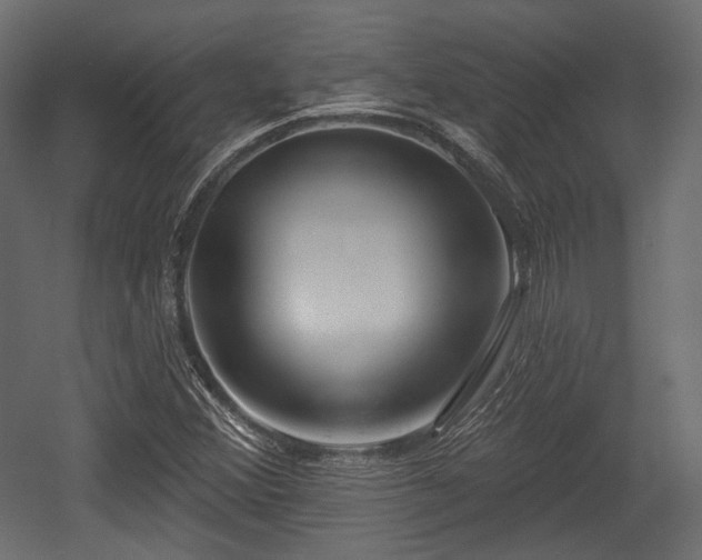 X0000054361356200508011209
