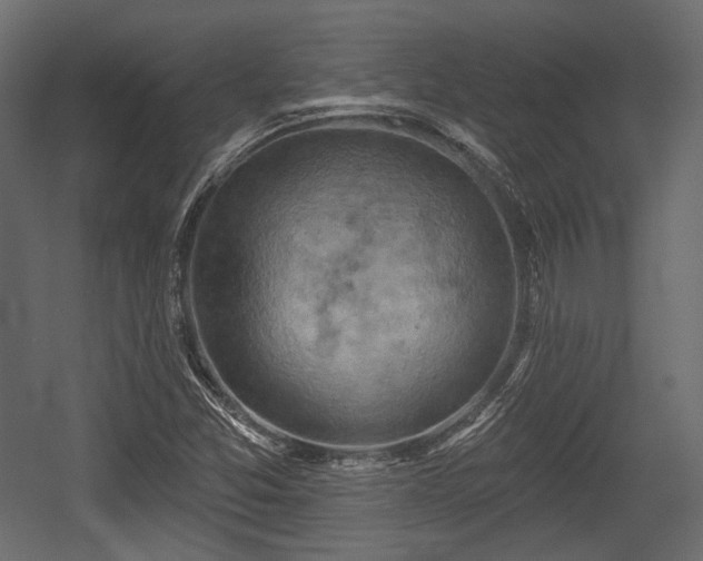 X0000054361357200508011209