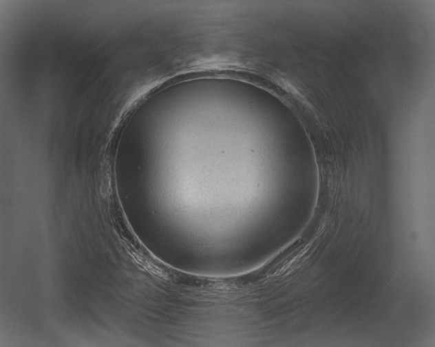 X0000054361358200508011209