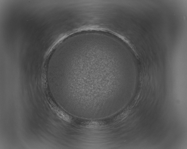 X0000054361359200508011209