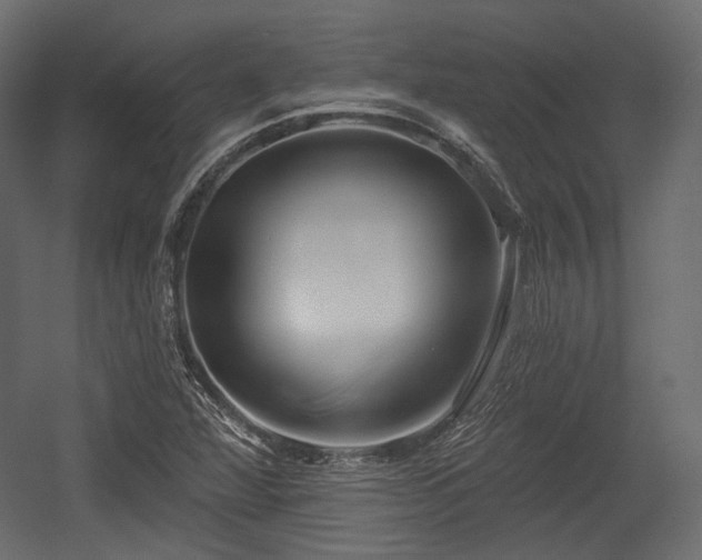 X0000054361360200508011209