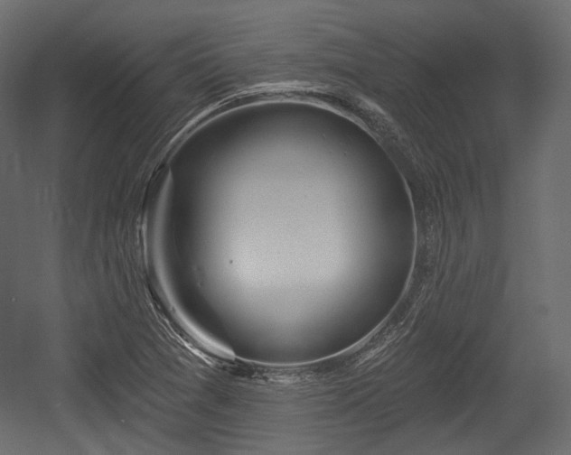X0000054361361200508011209