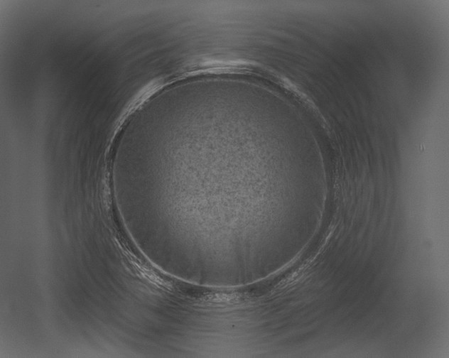 X0000054361362200508011209