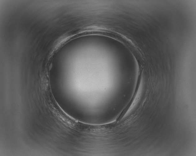 X0000054361363200508011209