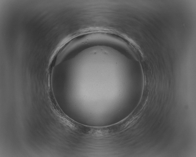 X0000054361365200508011209