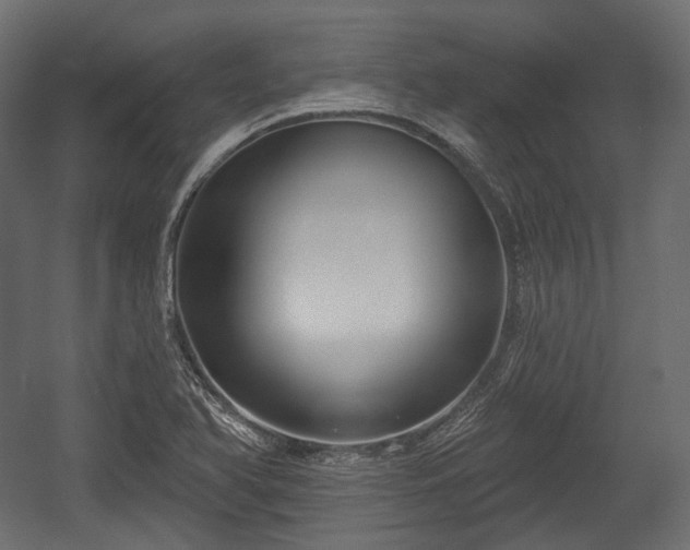 X0000054361366200508011209