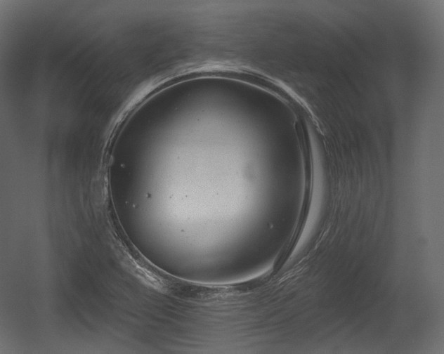 X0000054361367200508011209