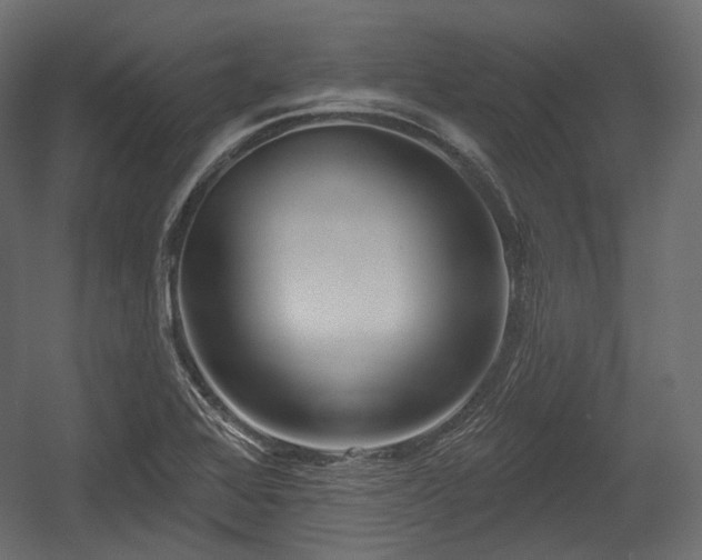 X0000054361368200508011209