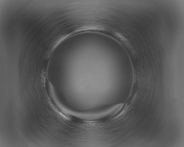 X0000054361369200508011209