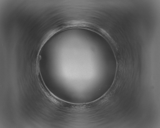 X0000054361370200508011209