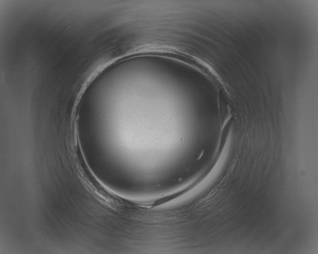 X0000054361371200508011209