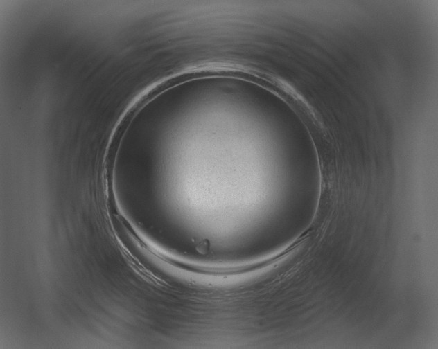 X0000054361372200508011209
