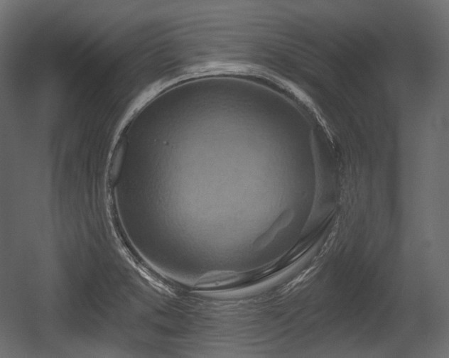 X0000054361373200508011209