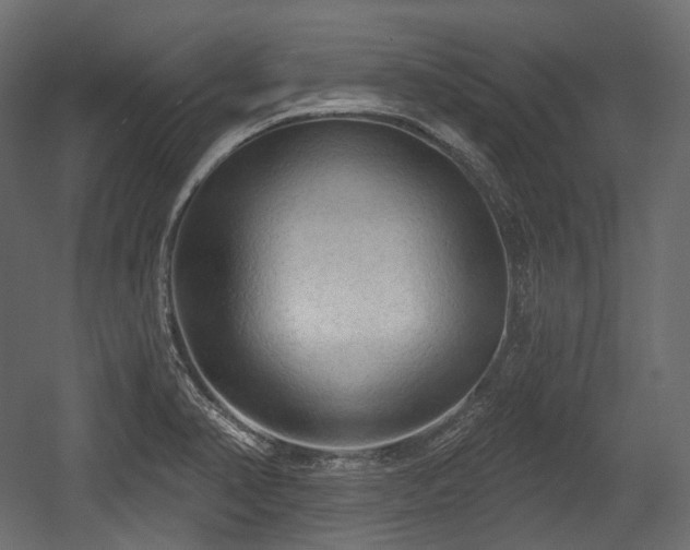 X0000054361374200508011209
