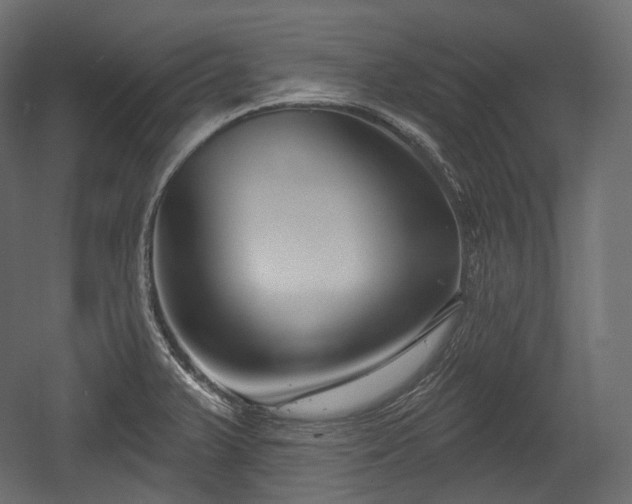 X0000054361375200508011209
