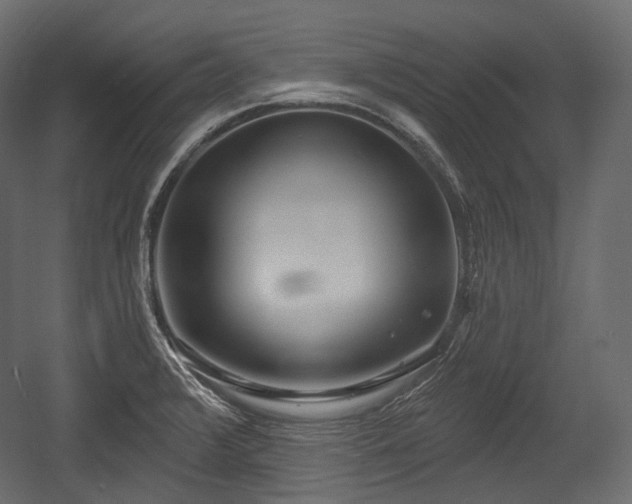 X0000054361376200508011209