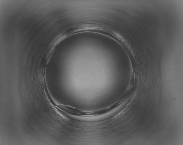 X0000054361377200508011209