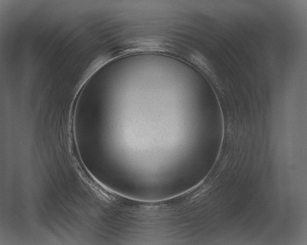 X0000054361378200508011209