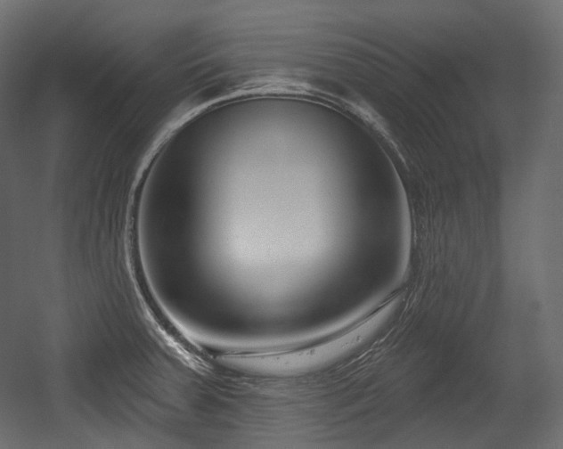 X0000054361379200508011209