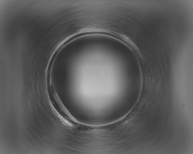 X0000054361380200508011209