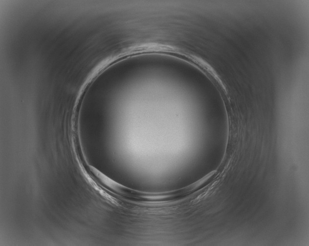 X0000054361381200508011209