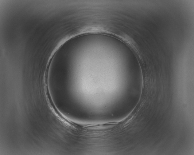 X0000054361382200508011209