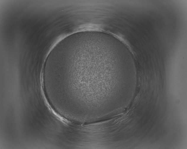 X0000054361383200508011209