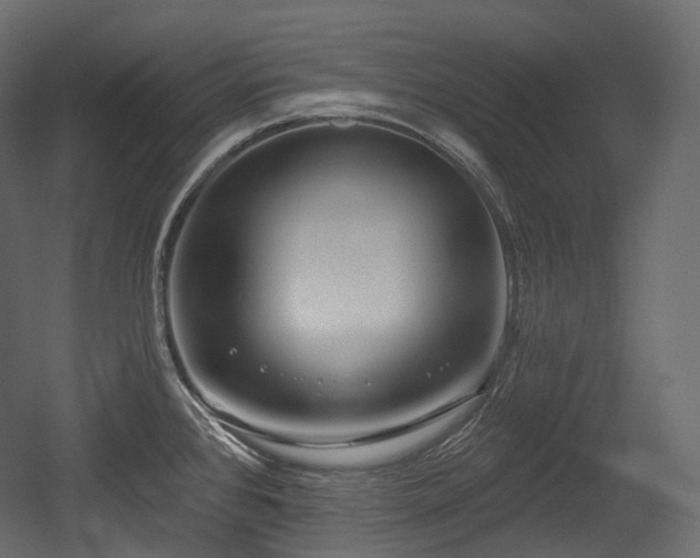 X0000054361384200508011209