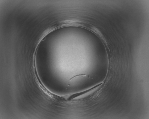 X0000054361386200508011209