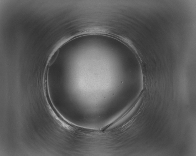 X0000054361387200508011209