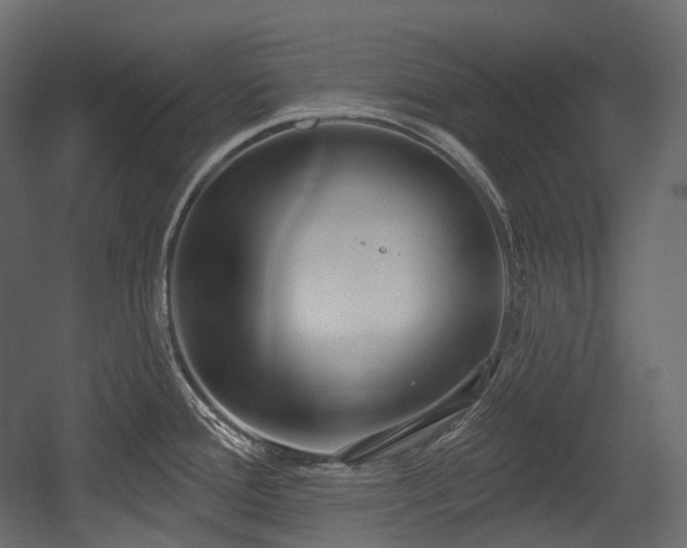 X0000054361388200508011209