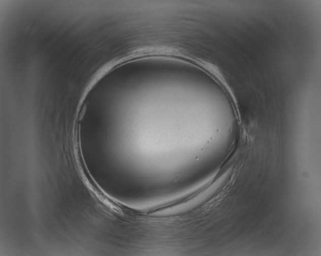 X0000054361389200508011209
