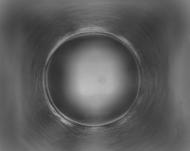 X0000054361390200508011209