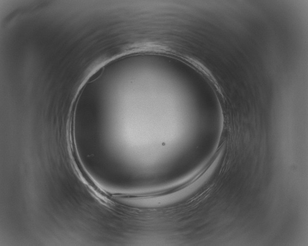 X0000054361391200508011209