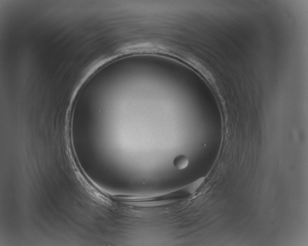 X0000054361392200508011209