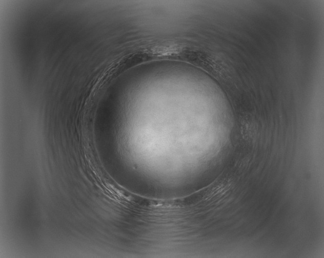 X0000054361393200508011208
