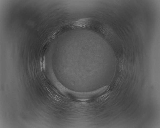 X0000054361394200508011208