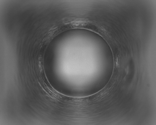 X0000054361396200508011208