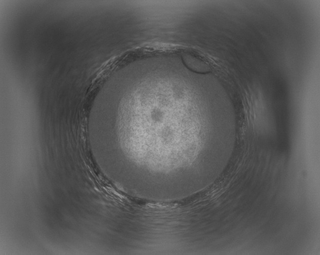 X0000054361397200508011208