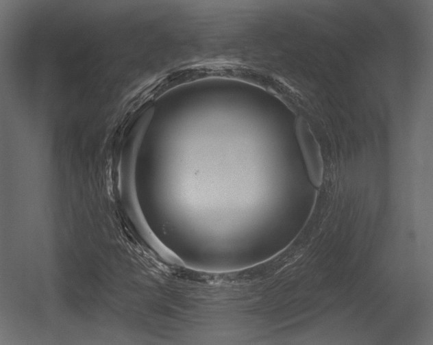 X0000054361398200508011208