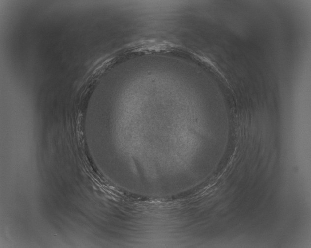 X0000054361399200508011208