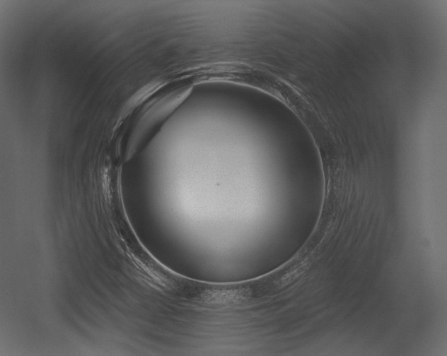 X0000054361402200508011208