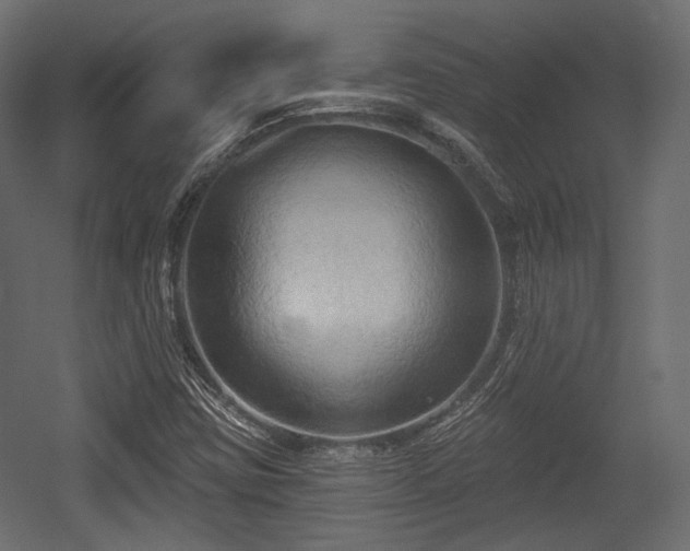 X0000054361403200508011208
