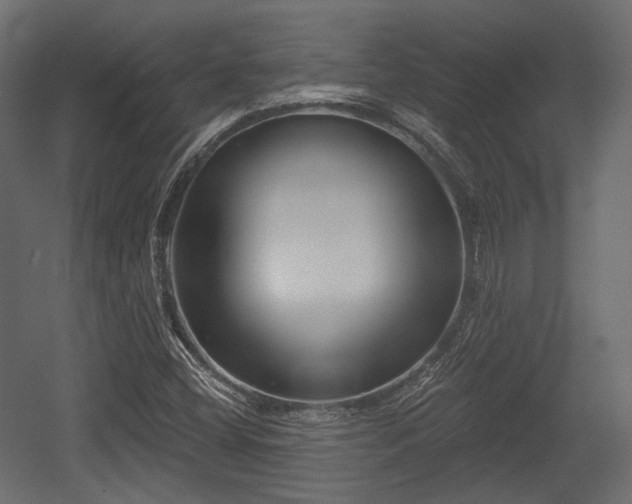 X0000054361404200508011208