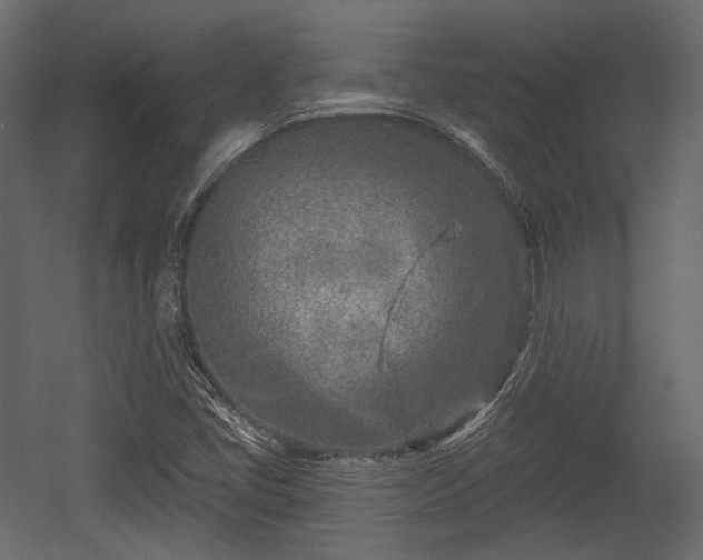 X0000054361405200508011208