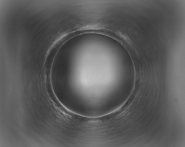 X0000054361406200508011208