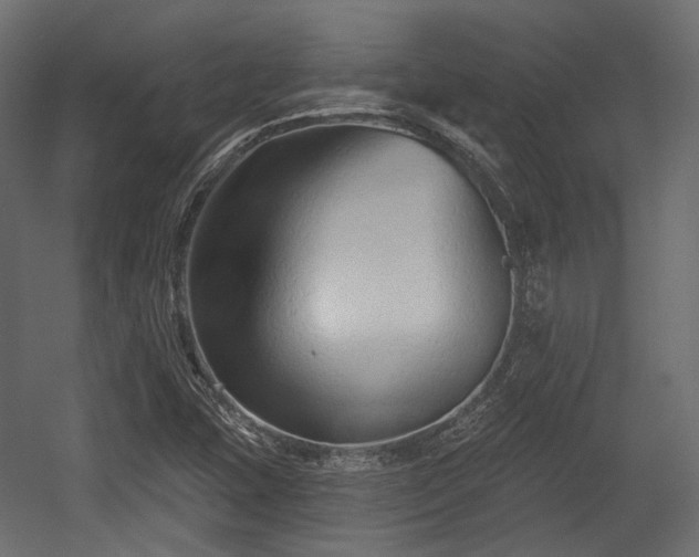 X0000054361407200508011208