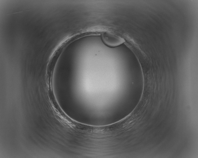 X0000054361408200508011208